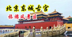 插进维吾尔族女人比逼视频中国北京-东城古宫旅游风景区